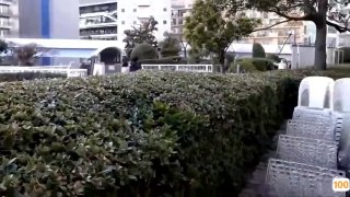 欧美极品在线综合,国产精品免费大片一区二区高清
